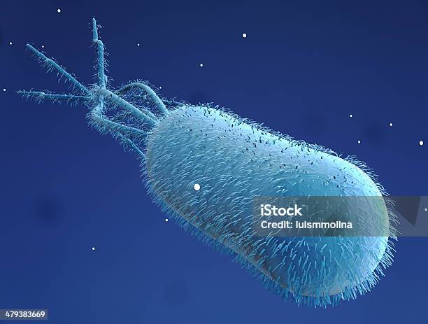 Escherichia Coli — стоковые фотографии и другие картинки Бактерия - Бактерия, Без людей, Биология