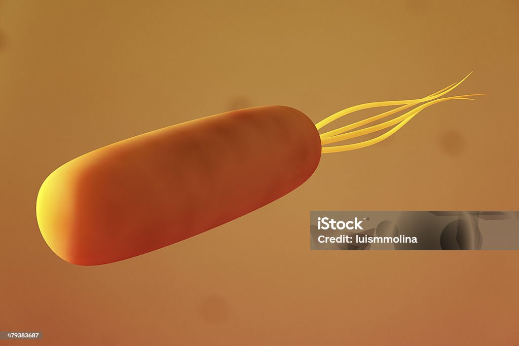 Escherichia Coli (E. Coli.) Bacillus Subtilis Stock Photo