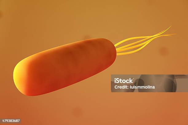 Escherichia Coli Stock Photo - Download Image Now - Bacillus Subtilis, Bacterium, Biological Cell