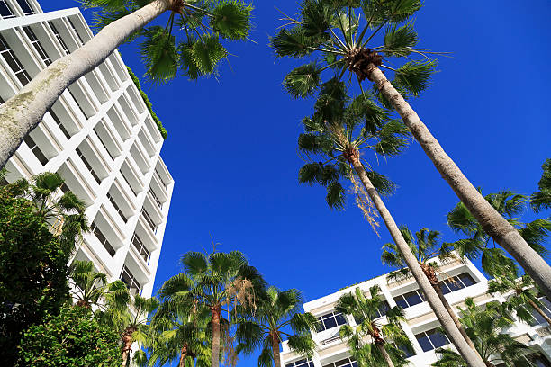 istock Looking up at modern apartment buildings in Miami, Florida 479386541