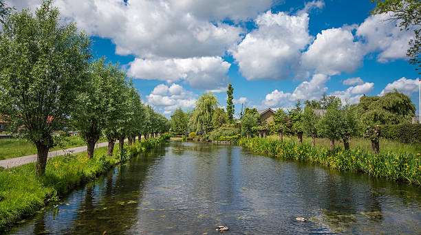 istock pond in Waddinxveen 479391944