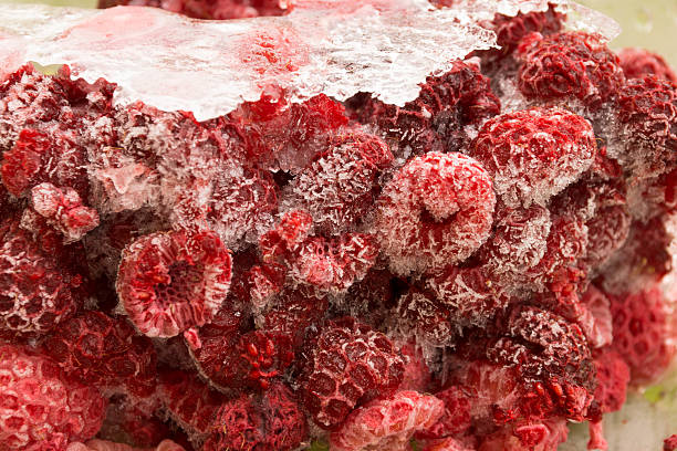 frozen raspberry stock photo
