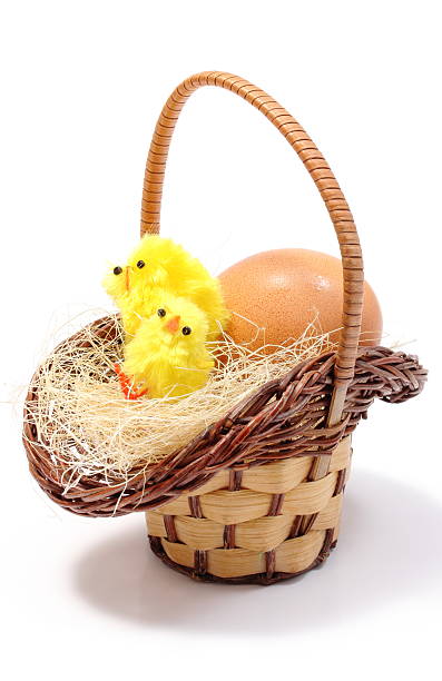 istock Easter chickens in wicker basket and fresh egg 479395485
