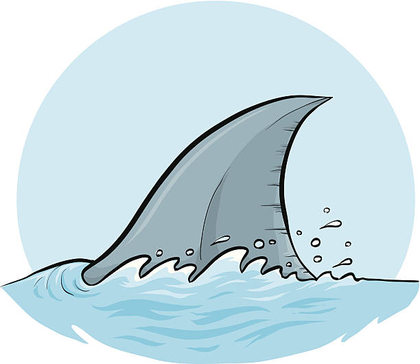 Shark Dorsal Fin Shark in a speedy chase. animal fin stock illustrations