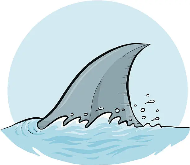 Vector illustration of Shark Dorsal Fin