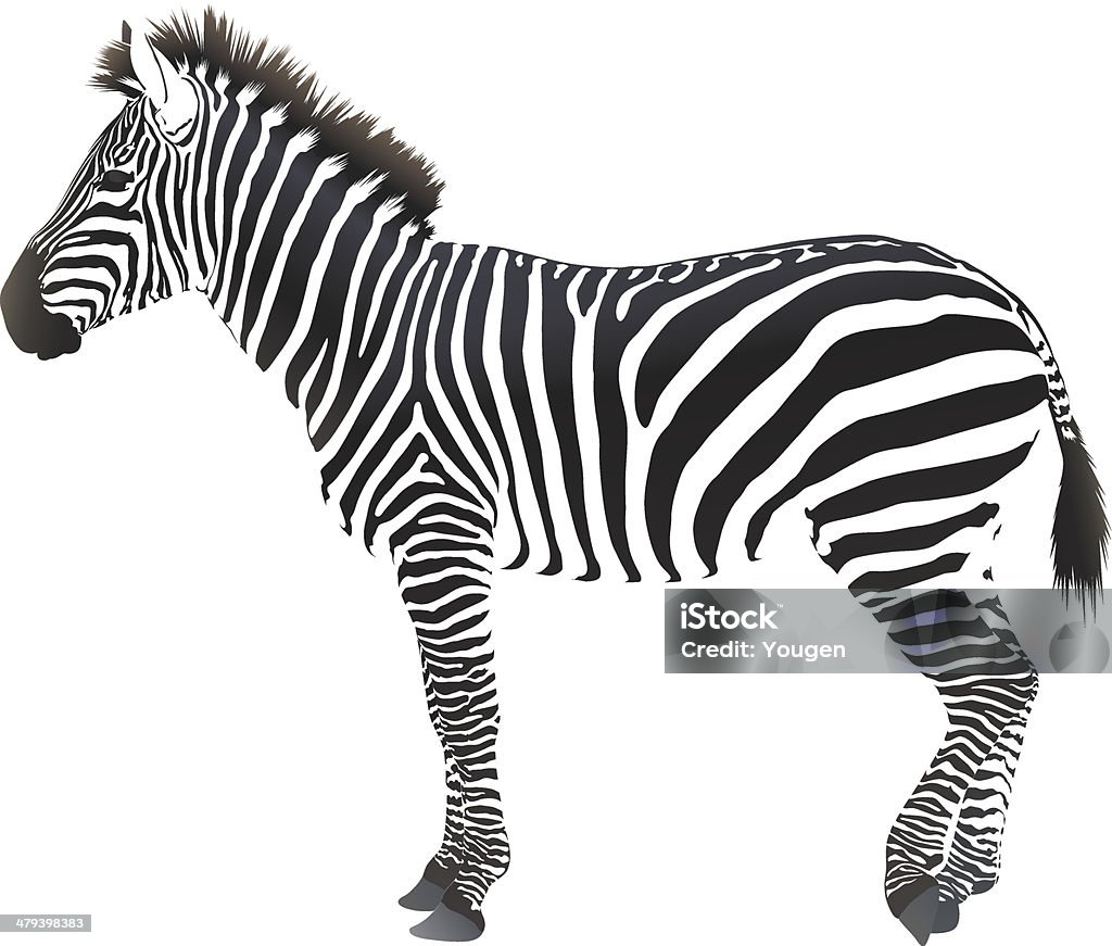 Cloven-animal ungulado - Royalty-free Zebra arte vetorial