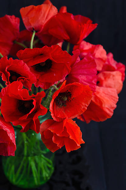 Bouquet of poppies stock photo