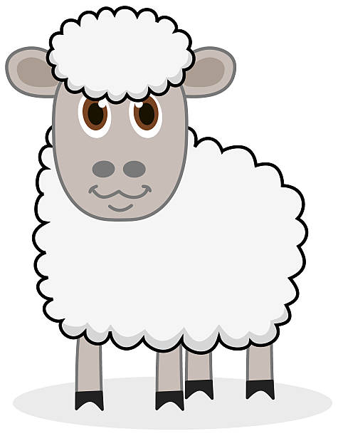 ilustrações, clipart, desenhos animados e ícones de ovelha branca com belos olhos - sheep lamb wool animal head