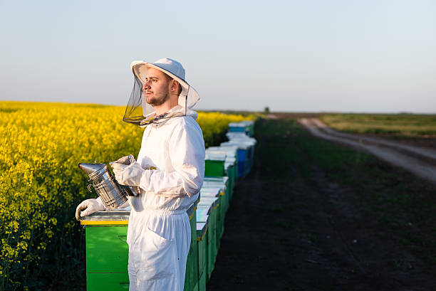 istock Young apiarist gesturing thumb up 479408962