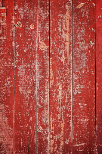 e weathered textures of an ancient wooden door, each crack and crevice telling a story of time gone by.