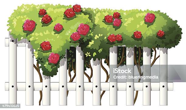 Clôture Avec Rose Plantes Vecteurs libres de droits et plus d'images vectorielles de Clôture - Clôture, En bois, Espace cosmique