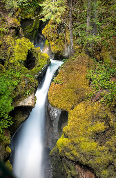 scala creek falls - north cascades national park cascade range river waterfall foto e immagini stock
