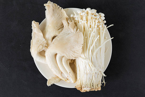 istock Mushroom in a plate on black background 479412878
