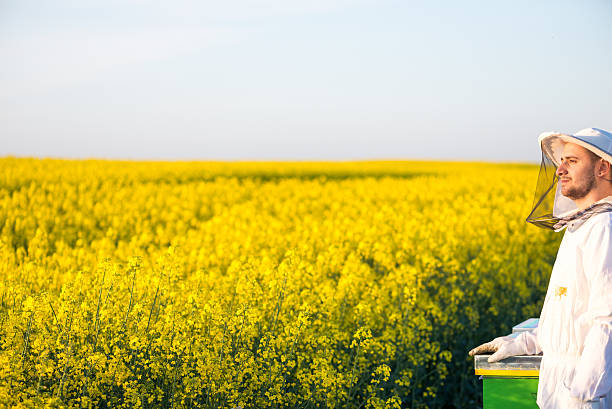 istock Young apiarist gesturing thumb up 479413572