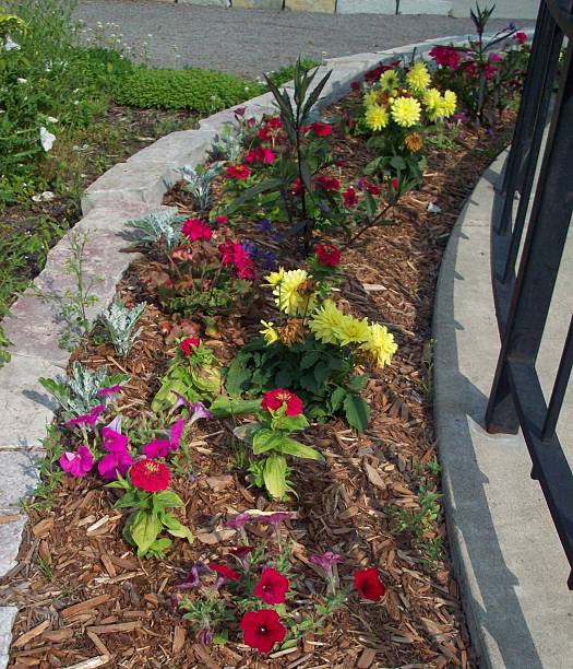 istock Flowerbed In The Park 479413752