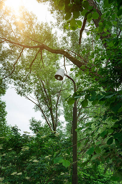 istock Street lamp in the forest 479414730