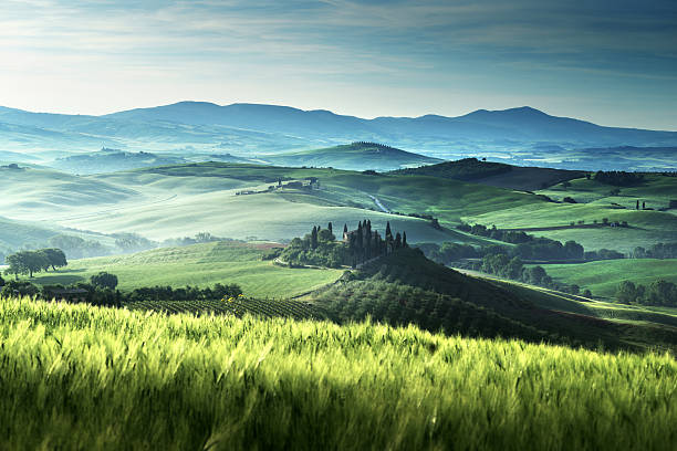istock Early spring morning in Tuscany, Italy 479414738
