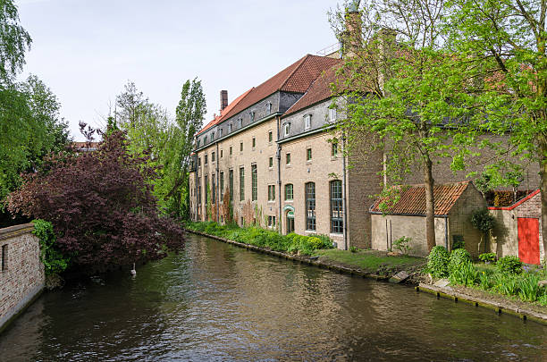 istock Lake in Begijnhof, Bruges city 479422086