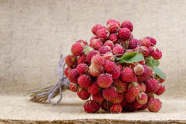 Fragrant bouquet of ripe strawberry on a sacking.