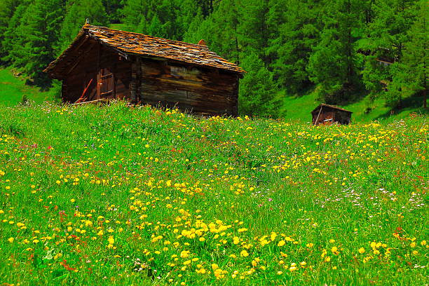 cabin in austria