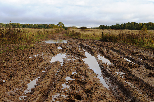 Desordenado rural carretera de tierra después de la lluvia photo