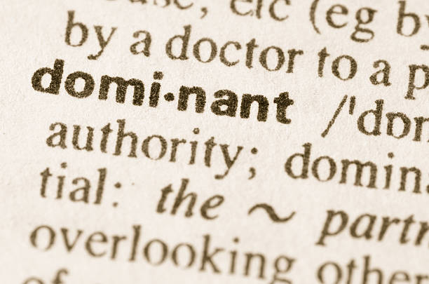 istock Dictionary definition of word dominant 479430608