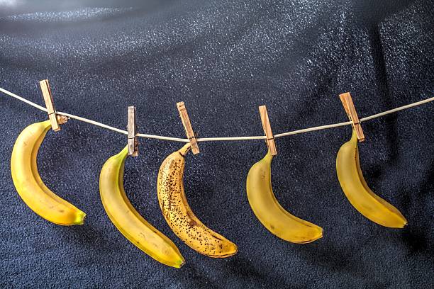 istock Bananas on a clothes line 479431226