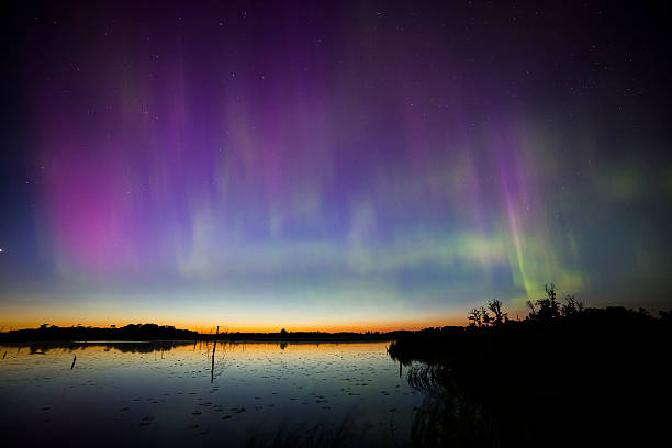 istock Aurora Beauty in the Wetlands 479432488