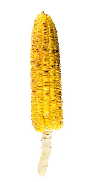 кукуруза на гриле, изолированные на белом фоне и - corn corn on the cob grilled roasted стоковые фото и изображения