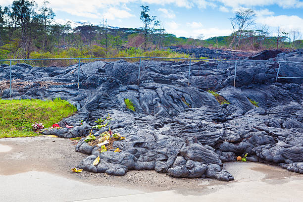 Fern sprouts on cooled volcanic lava on Big Island Hawaii
