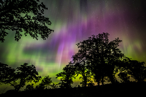 Northern Lights in Minnesota.  This was taken in June, 2015.  Amazing display.  This is in an oak tree savannah on a prairie/wetland.  This went on for about three hours!  Taken with full frame Canon 6D with 14 mm. lens.