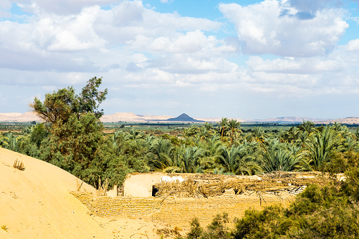 Bahariya Oasis, Egypt
