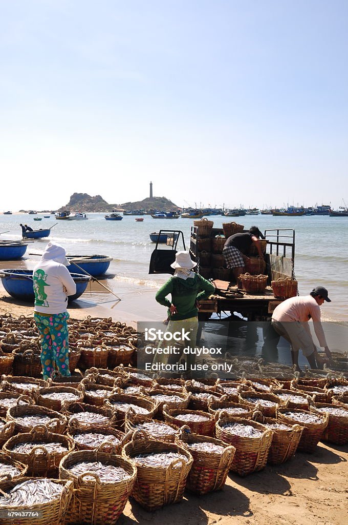 Fisheries are located on the beach in many baskets Lagi, Vietnam - February 26, 2012: Fisheries are located on the beach in many baskets waiting for uploading onto the truck to the processing plant 2015 Stock Photo