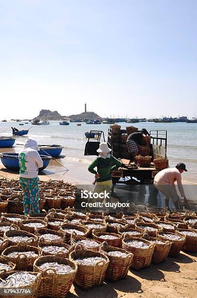 Fisheries Are Located On The Beach In Many Baskets Stock Photo - Download Image Now - 2015, Agriculture, Anchovy