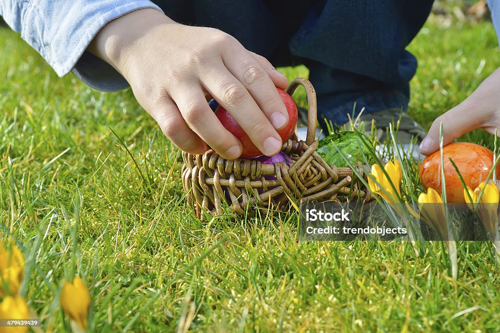 Easter egg hunt on a sunny Easter morning Easter Egg Hunt Stock Photo