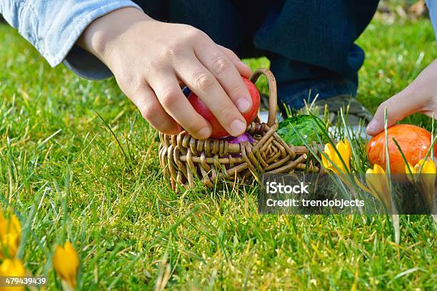 Easter Egg Hunt On A Sunny Easter Morning Stock Photo - Download Image Now - Easter Egg Hunt, Child, Formal Garden