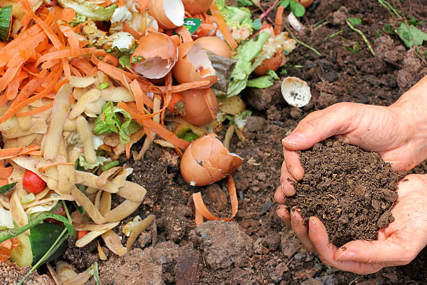 composta con compost terra - cibo biologico foto e immagini stock