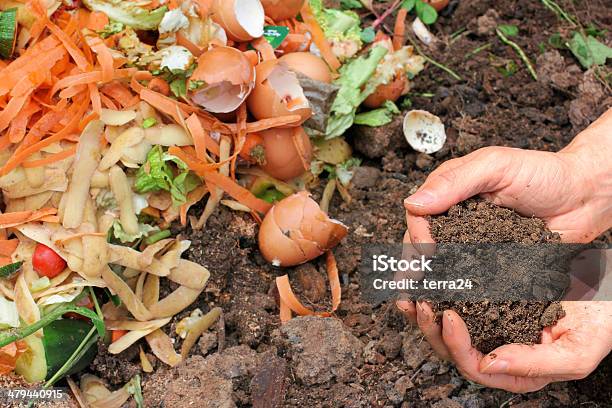 Compost With Composted Earth Stock Photo - Download Image Now - Compost, Garbage, Food