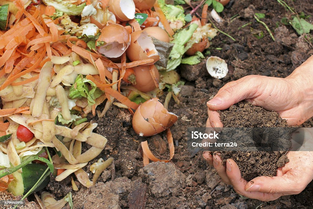 Compost with composted earth - Royaltyfri Kompost Bildbanksbilder