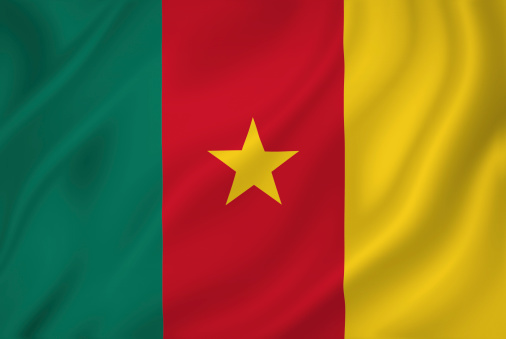Cameroon national flag background texture.