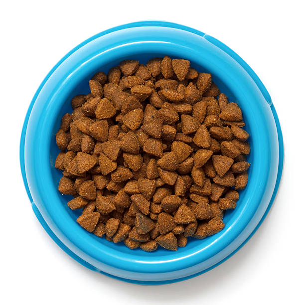 Dry cat food in blue bowl isolated on white. Dry cat food in blue bowl isolated on white from above. dog bowl photos stock pictures, royalty-free photos & images