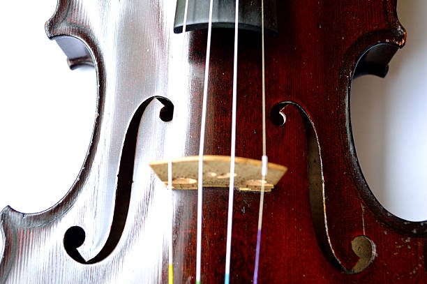 istock Antique violin closeup, white background 479442828