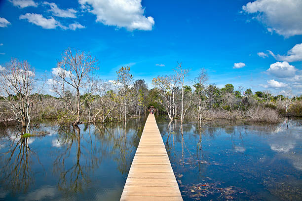 die hölzerne weg zum tempel neak pean.  siem reap. - marcel siem stock-fotos und bilder