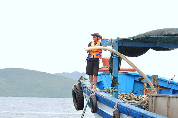 lavoratori sono alimentazione barramundi pesce a macchina - commercial fishing net netting fishing striped foto e immagini stock