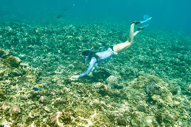 istock Woman with mask snorkeling 479443572