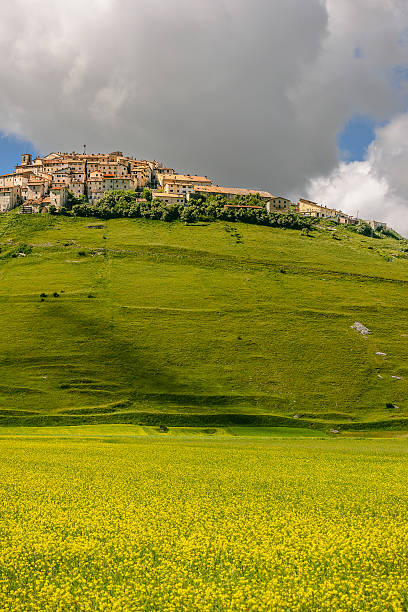 castelluccio di norcia (italie), village sur une colline verdoyante - natural landmark outdoors vertical saturated color photos et images de collection