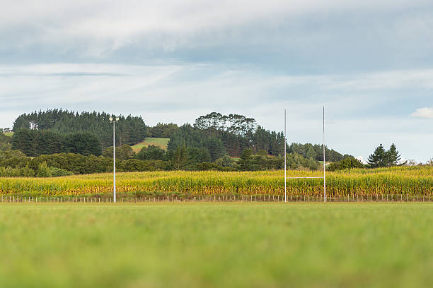 rural campo de rugby - rugby wooden post goal post rugby post fotografías e imágenes de stock