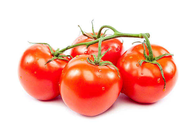 istock Branch of fresh tomatoes on white background. 479444676