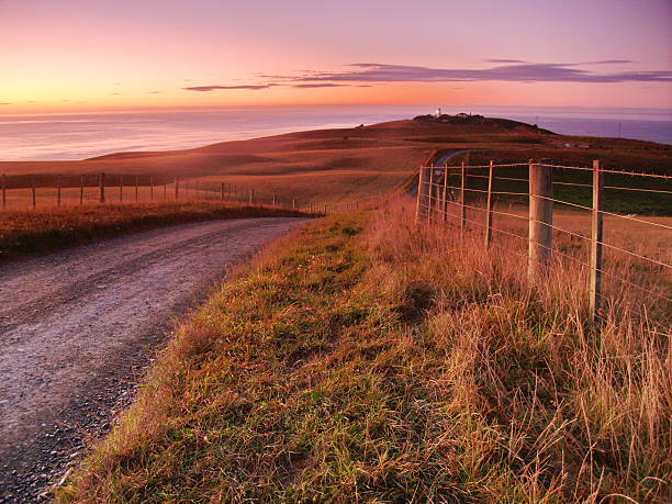 istock Lighthouse in New Zealand 479444746