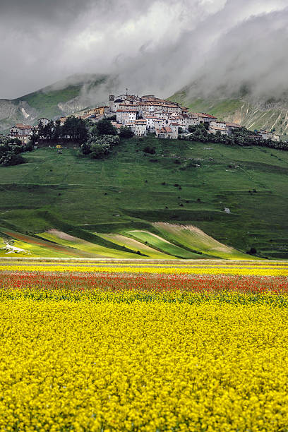 castelluccio di norcia (italie), village sur une colline verdoyante - natural landmark outdoors vertical saturated color photos et images de collection